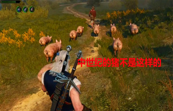 专家指出：中世纪主题游戏里的“猪”有很大问题！