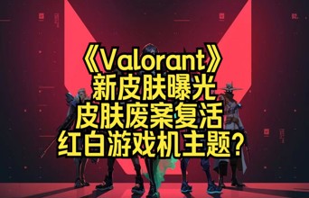 《瓦罗兰特》新皮肤套装曝光？是游戏机主题！