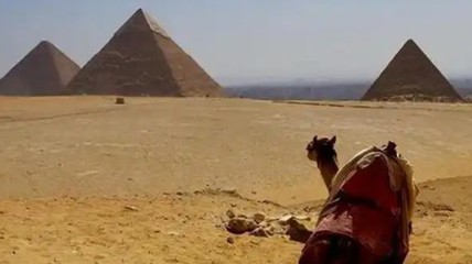 埃及导游分享当地套路 称埃及没有免费的东西