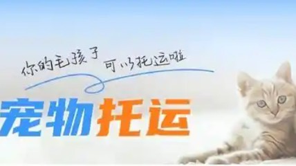 12306推出宠物托运功能 随车出行人宠分开专人看护