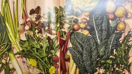 老乡，《星露谷物语官方食谱》中文版终于来了