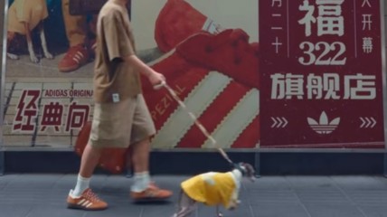 阿迪达斯正进军宠物服饰赛道：宠物T恤一度断货